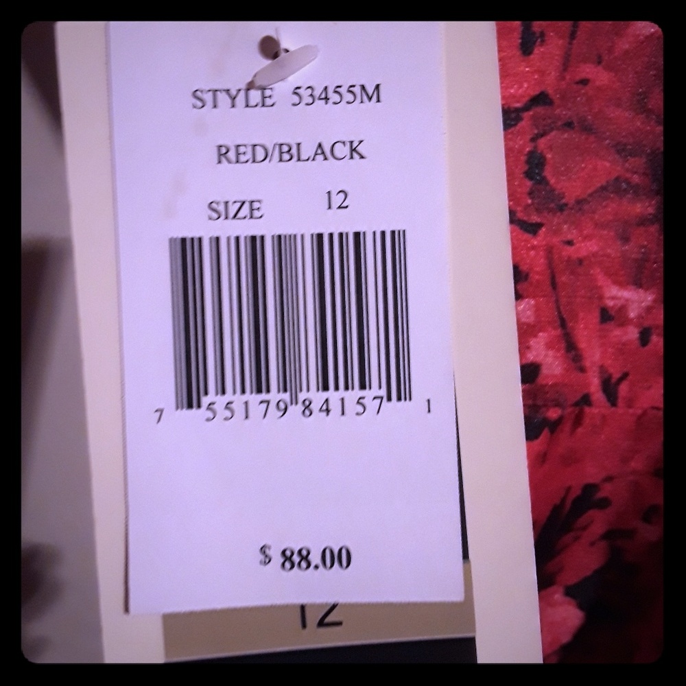 Jillian Taylor dress